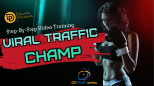 Viral Traffic Champ thumbnail